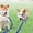 Blue, variant on Pet Toys Double Dog Leash, Tandem Leash For Two Dogs, No Swivel Rotation Dual Strong Dog Leash Splitter, For Small Dogs