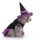 thumbnail image 4 of Disfraz de bruja de Halloween para perro y gato, disfraces de Cosplay para mascotas, trajes cálidos para cachorros, Sudadera con capucha de lana, ropa de otoño e invierno para animales, 4 of 5