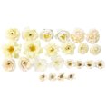 thumbnail image 1 of LCXmlly Faux Silk Flower Graduation Cap Embellishments Artificial Flowers Graduation Decorations Kit DIY Assorted Flower Glitter Stickers Number Letter Stickers (1 Set), 1 of 7