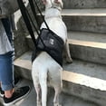 thumbnail image 5 of Harikaji Dog Sling, Dog Lift Harness Support Sling for Elderly or Disabled Dogs, Portable Hip Support Harness Assist Lift Dogs Rear for Canine Aid Dark Grey XL, 5 of 5