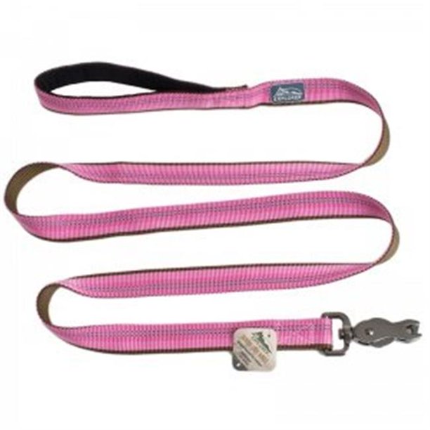 1 in. x 6 ft. K9 Explorer Reflective Leash with Scissor Snap Rosebud