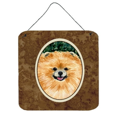 Carolines Treasures SS8725DS66 Pomeranian Aluminum Metal Wall or Door Hanging Prints, 6 x 6", Multicolor