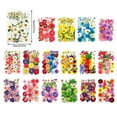 thumbnail image 4 of Dried Flowers Set Scrapbooking Decorating Real Flower Decal Makeup Fillings Handicraft Filling Pressed Specimen Label for Makeup Phone Use Type 11, 4 of 6