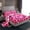 Hot Pink Black, variant on Homewish Cowgirl Hat Twin Sheet Sets 3pcs for Kids Children Teens,Leopard Print Twin Fitted Sheet Microfiber,Pink Bling Glitter Breathable Flat Sheet,Luxury Bedroom Decor