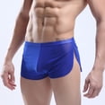 thumbnail image 3 of Sexy Men's Mesh Ultra Thin Boxer Shorts And Underpants Side Split Trunks Brief Panties Underwear Men Boxers Man Pack XXL Red|https://ae01.alicdn.com/kf/Saa2b84a610404ae9b7c5141f2d90a80bQ.jpeg, 3 of 5