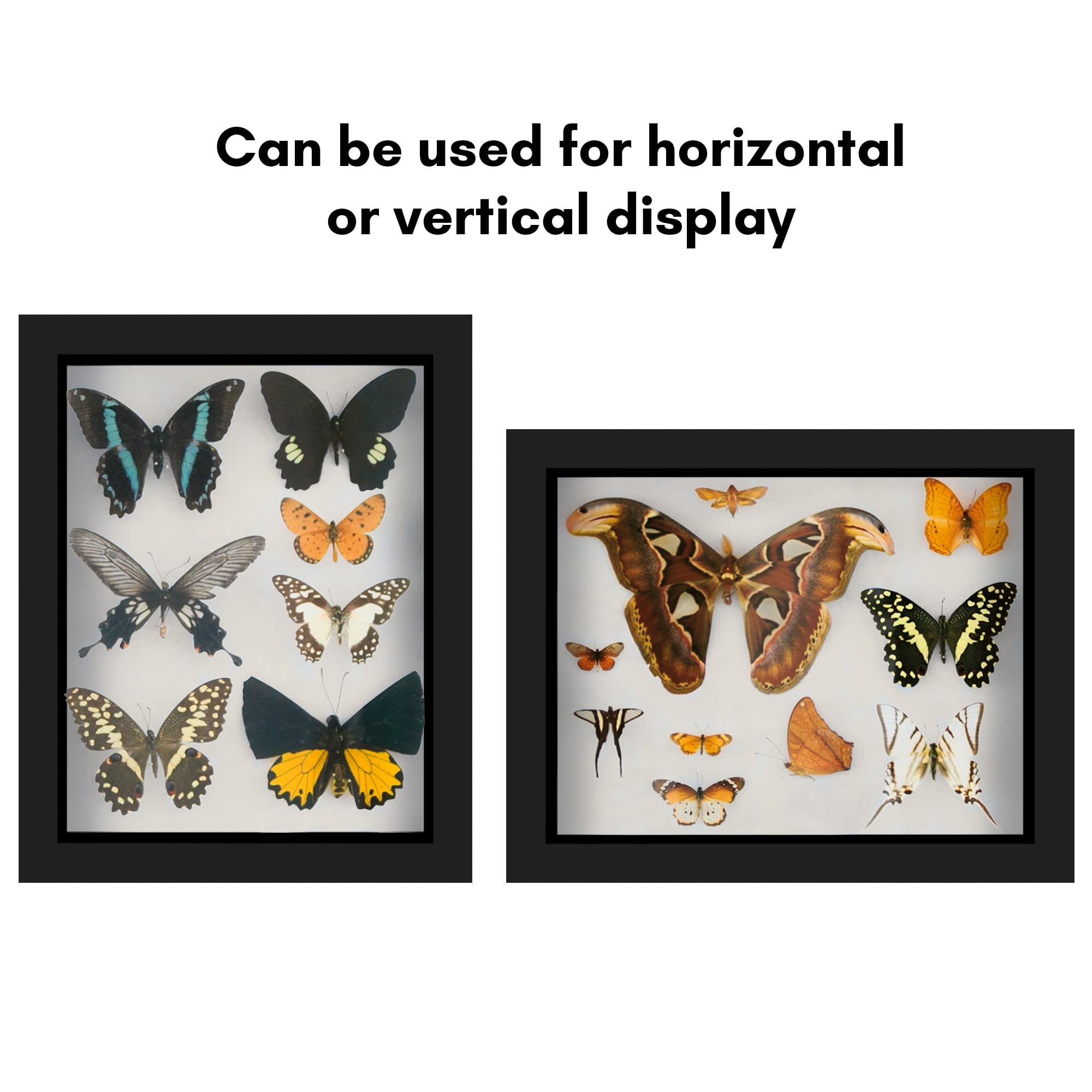 Americanflat 8x10 Shadow Box Frame with Shatter-Resistant Glass Silhouette Collection Large Display - Black