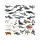 thumbnail image 4 of 30 Piezas Figuras de Animales del Océano Regalo Estatuas en Miniatura Realistas Marinas Animales Marinos Figuras de Animales Marinos, 4 of 9