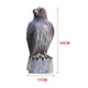 thumbnail image 4 of Estatua de águila Macarena Simulación Jardín Decoración Hogar Sala Oficina Dormitorio Cocina, 4 of 8