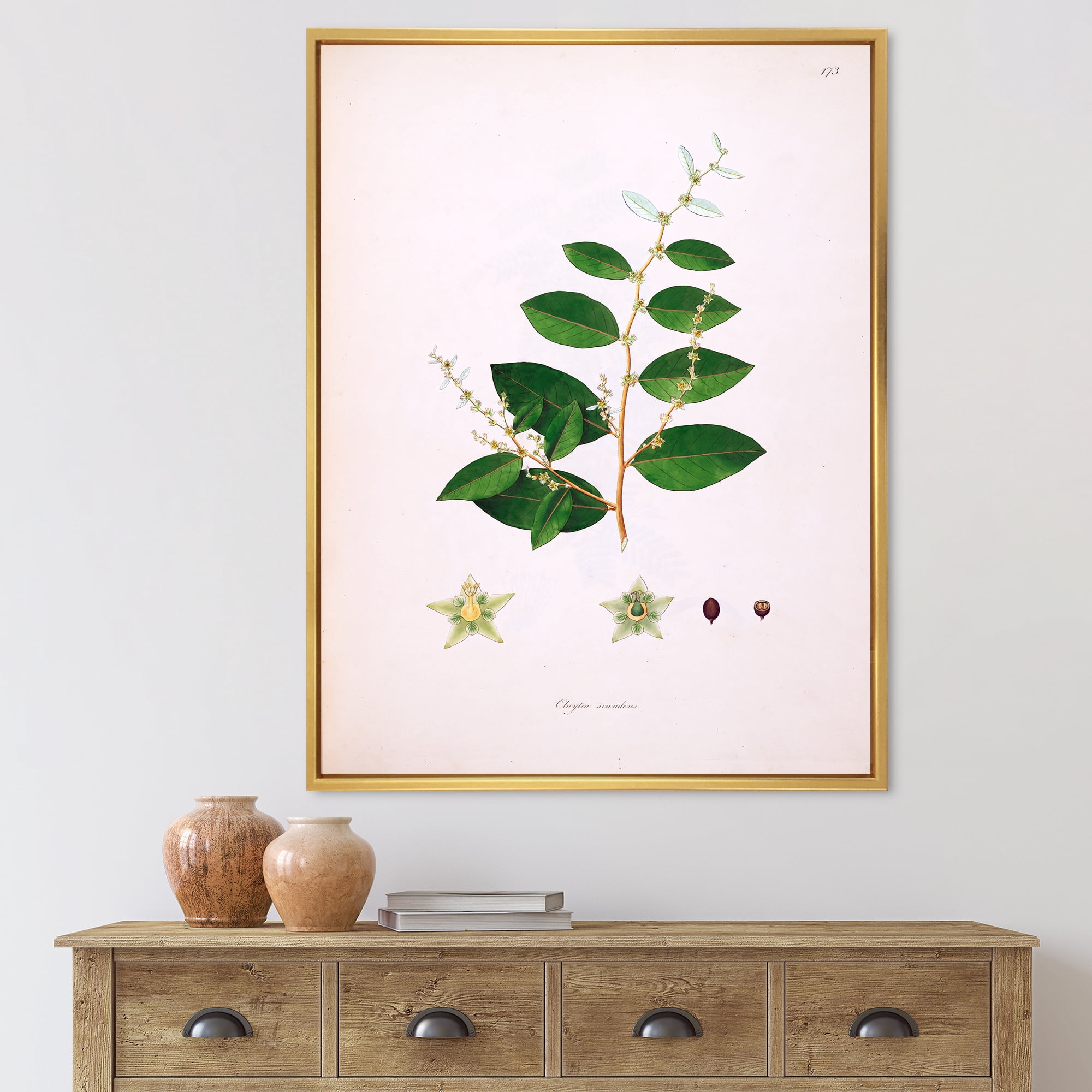 Designart 'Ancient Plant Life XVI' Farmhouse Framed Canvas Wall Art Print