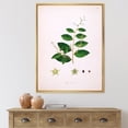 thumbnail image 2 of Designart 'Ancient Plant Life XVI' Farmhouse Framed Canvas Wall Art Print, 2 of 5