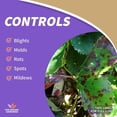 thumbnail image 3 of Bonide Revitalize Biofungicide, 16 oz Concentrate Disease Control for Organic Gardening, Controls Blight & Mold, 3 of 10