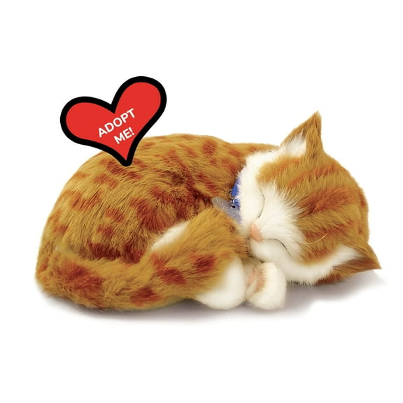 Original Petzzz Orange Tabby Realistic, Lifelike Stuffed Interactive Pet Toy, Companion Pet Dog with 100% Handcrafted Synthetic Fur – Perfect Petzzz