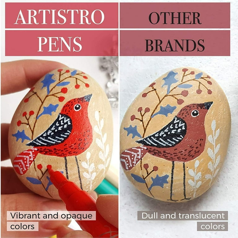 Artistro Cute 30 Acrylic Paint Pens Medium Tip for Rock Painting