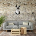 thumbnail image 5 of Jackalope Mount, Jackalope Taxidermy, Animal Head Wall Decor, Deer Head Wall Mount, Resin Deer Head Animal Wall Mount,for Home Wall Decoration, 5 of 8