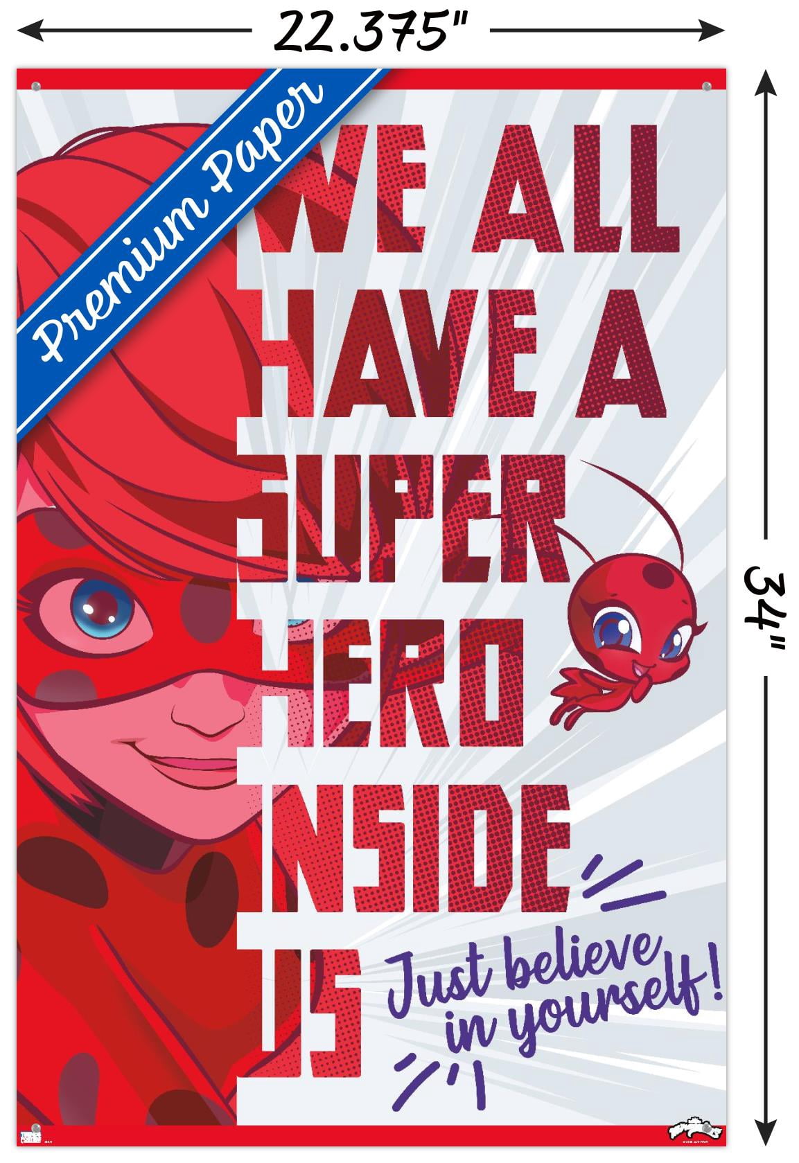 Miraculous - Hero Wall Poster with Pushpins, 22.375" x 34"