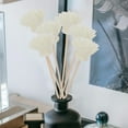 thumbnail image 4 of MasteelfCA 30pcs Diffuser Sticks Artificial Flower Rattan Essential Oil Aroma Diffuser Sticks for Office Home Decor, 4 of 8