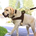 thumbnail image 5 of Pet Artist 3pcs Personalized Dog Harness & Collar & Leash set Metal ID Name Metal Buckle Mesh Padded Adjustable, 5 of 8