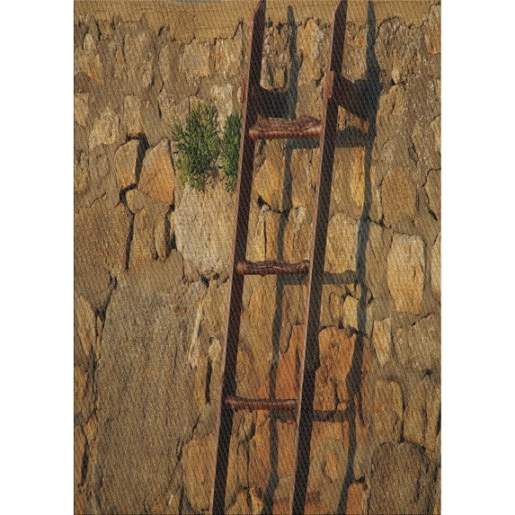 Ahgly Company Indoor Rectangle Patterned Bakers Brown Novelty Area Rugs, 4' x 6'