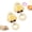 A, variant on Cheese-Shaped Plush Calming Sound Pet Toy, Dog Chew (1, B) | Built-in squeaker creates soft calming sounds to relieve dog separation anxiety. Soft plush shield supports safe chewing