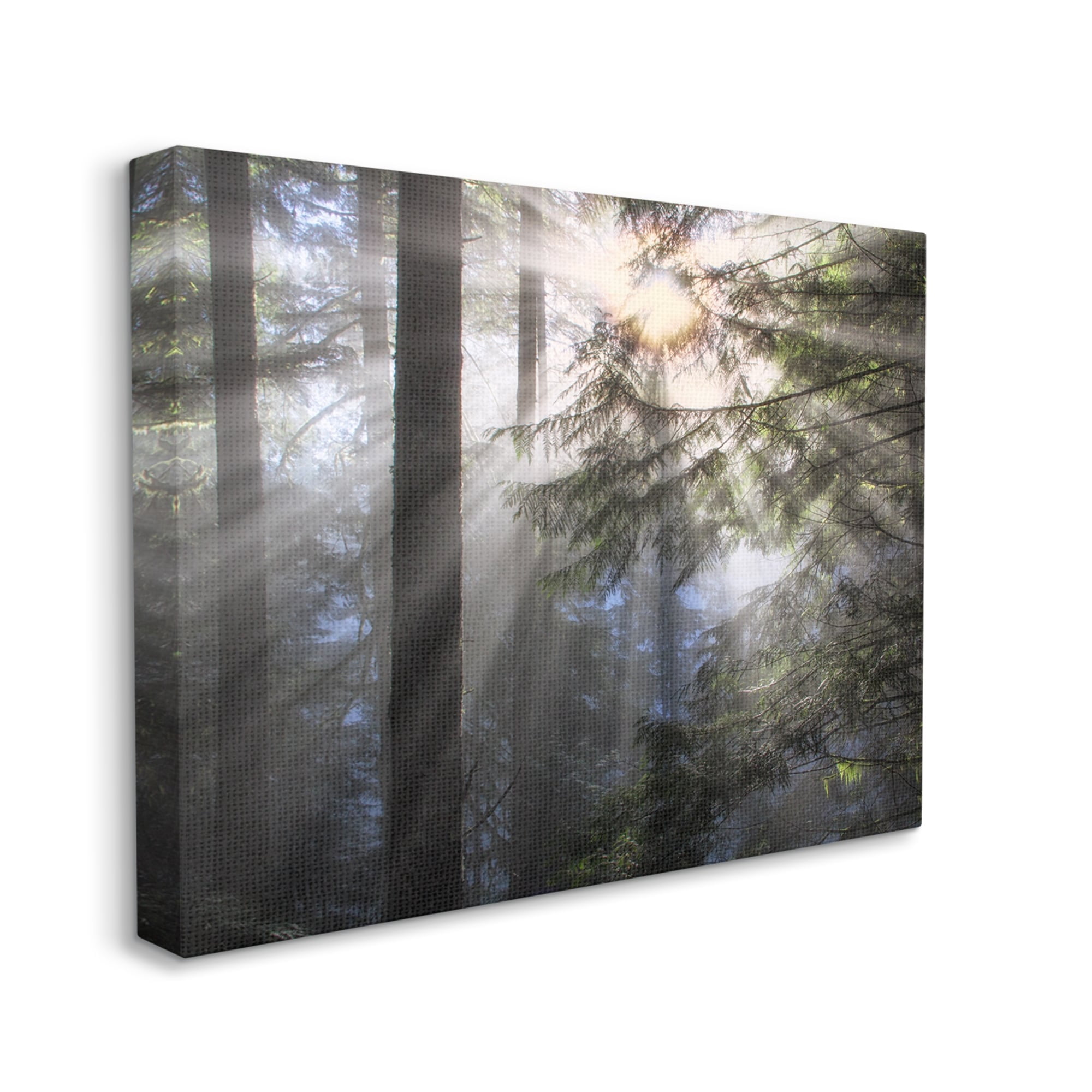 Stupell Industries Forest Sun Rays Nature Scenery Landscape Photography Gallery Wrapped Canvas Print Wall Art