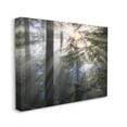 thumbnail image 2 of Stupell Industries Forest Sun Rays Nature Scenery Landscape Photography Gallery Wrapped Canvas Print Wall Art, 2 of 5