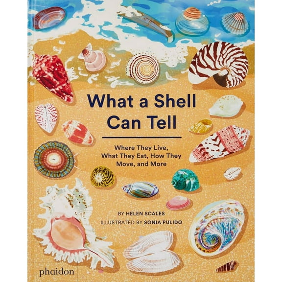 What a Shell Can Tell, (Hardcover)