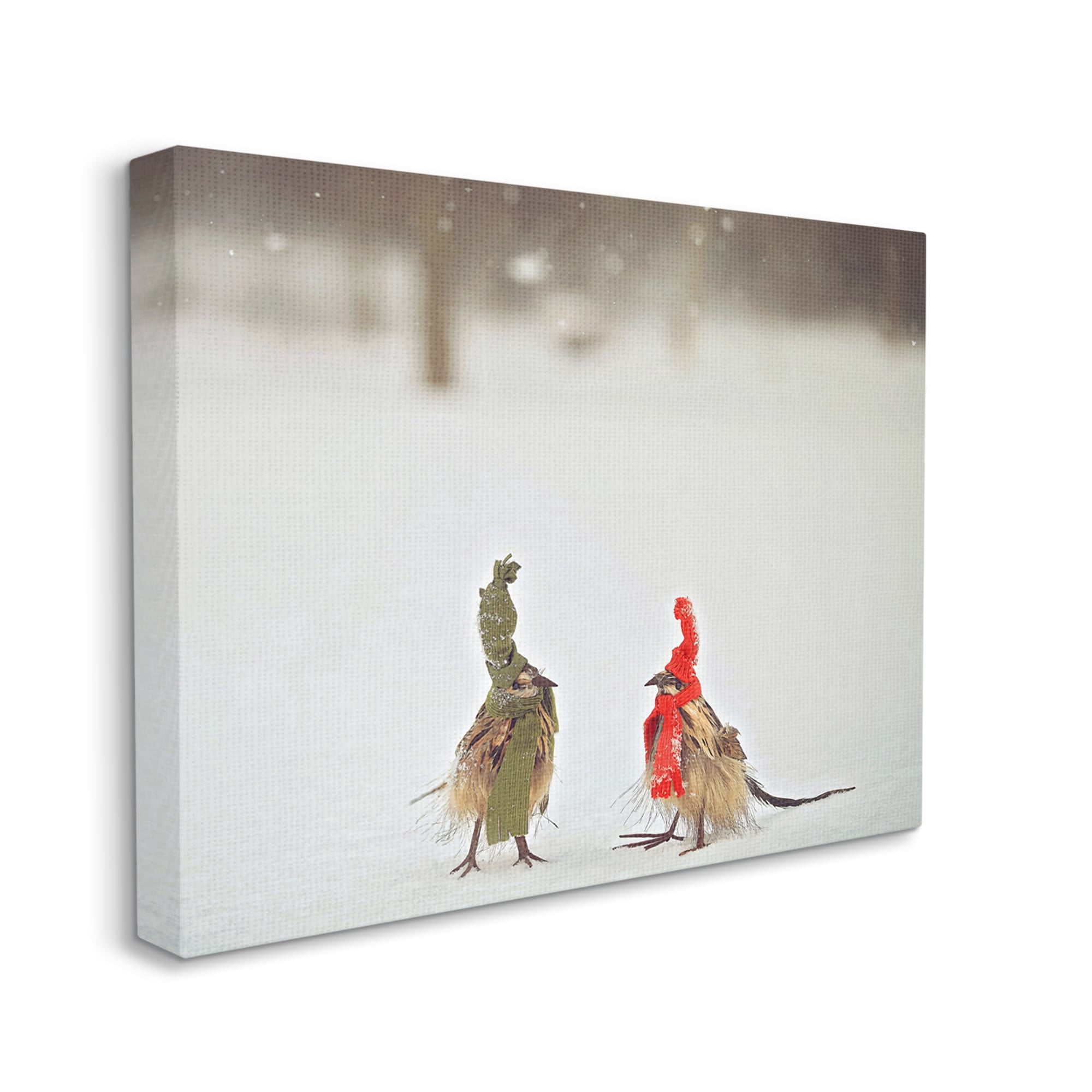 Stupell Industries Birds In Scarves Winter Snow Animals & Insects Photography Gallery Wrapped Canvas Print Wall Art