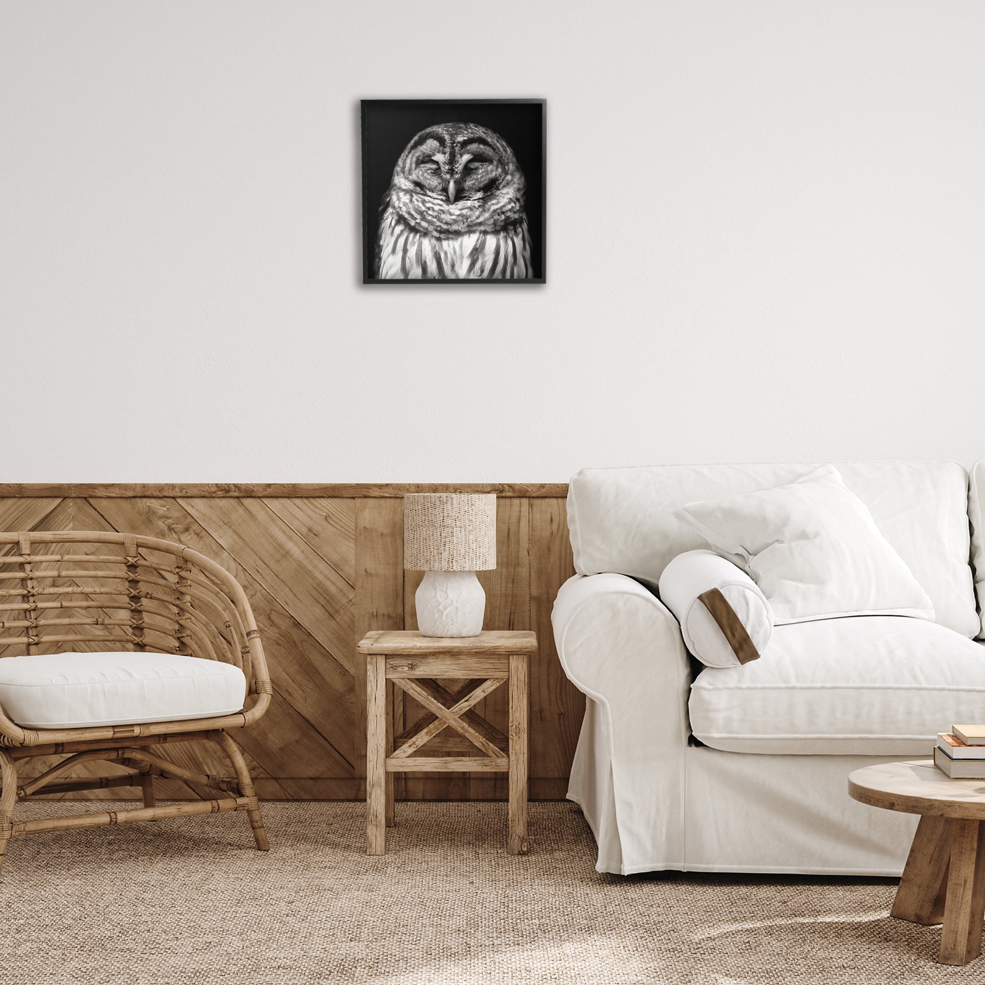 Stupell Industries Sleeping Owl Portrait Animals & Insects Photography Black Framed Art Print Wall Art, 17 x 17
