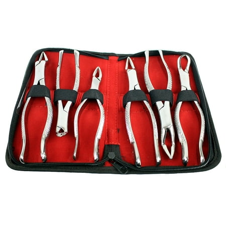 Bdeals American Pattern Dental Extracting Forceps 6PC Set Dental Instruments New