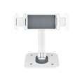 thumbnail image 4 of StarTech.com Support de Tablette Réglable pour Bureau, Bureau/montable au Mur, Supporte jusqu'à 2,2 Lb, Support Universel pour Tablette pour Bureau, Support Articulé pour Tablette avec Pivot/rotation/rotation - Support Ergonomique pour Tablette (ADJ-TABLET-STAND-W) - Support - pour Tablette - Aluminium et Acier - Blanc - Taille d'Écran : 4,7 Pouces-12,9 Pouces - Mural, Bureau-Montable, 4 of 10