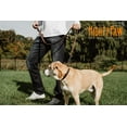 thumbnail image 5 of Mighty Paw Leather Dog Training Collar, Martingale Dog Collar with Stainless Steel Chain, Medium, 5 of 9