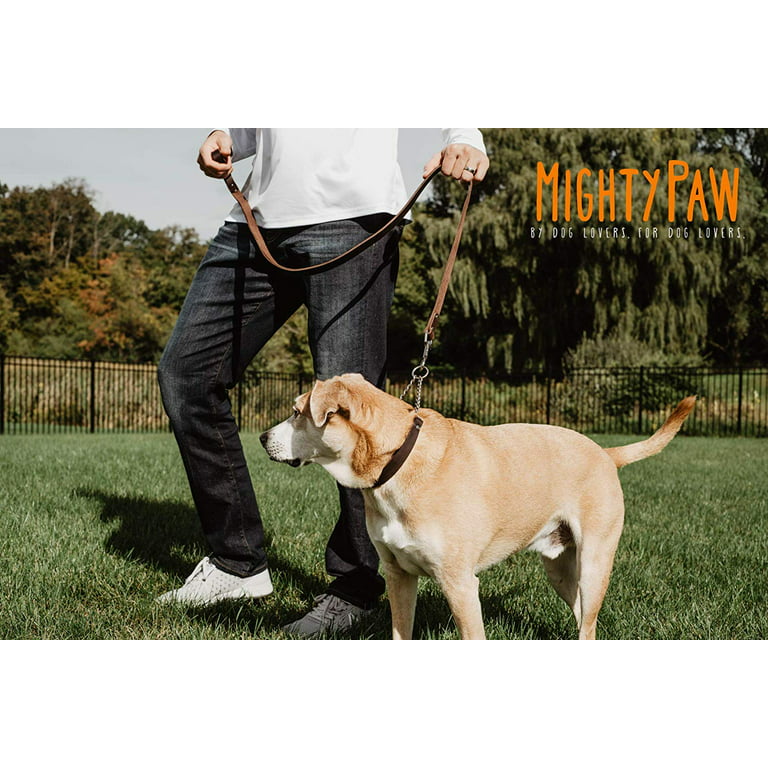 Mighty Paw Chain Dog Leash