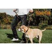 Mighty Paw Leather Dog Training Collar, Martingale Dog Collar with Stainless Steel Chain, Medium