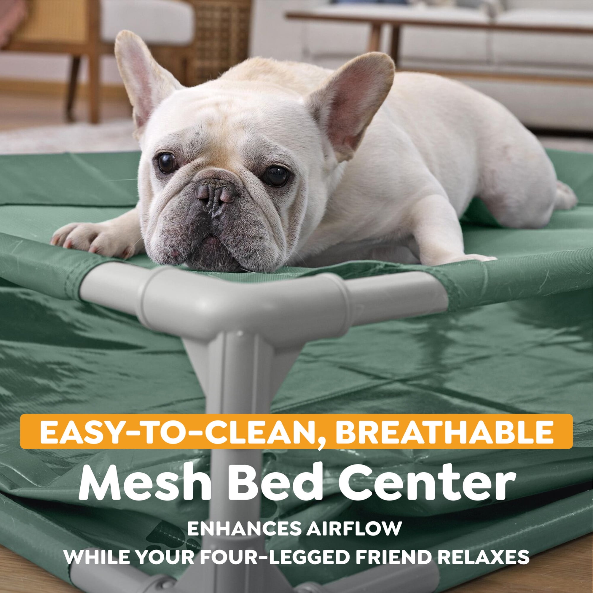 H2OGO! Pet Play Pool & Elevated Bed, Fetchin' Fun Splash Pool & Raised Mesh Bed for Dogs