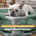 thumbnail image 6 of H2OGO! Pet Play Pool & Elevated Bed, Fetchin' Fun Splash Pool & Raised Mesh Bed for Dogs, 6 of 10