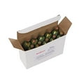 thumbnail image 3 of RedRock Unthreaded 16 Gram CO2 Cartridges, Food Grade Beverage Beer Keg Cartridge Chargers (10 Pack), 3 of 5