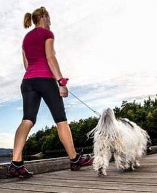 MRK Group Hands Free Dog Leash (Blue)