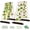 Red, variant on Red A-Frame Metal Garden Trellis, 2 Pack, PVC-Coated Steel, Perfect for Cucumbers, Squash, Peas, Flowering Vines