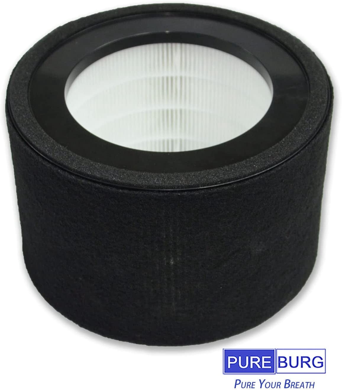 PUREBURG FLT4200 Replacement True HEPA Filter Set Compatible with GermGuardian AC4200W Air Purifier, FLT4200 / Filter L , H13 Activated Carbon ,2-PACK
