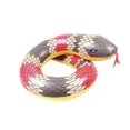 thumbnail image 1 of Swimming Ring Inflatable Snake Pool Raft Summer Swimming Lounge Float Pool Party Toys for Adults and Kids(Red)_Perfect Gift, 1 of 4