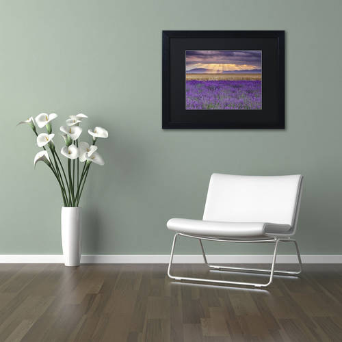 Trademark Fine Art "Lavender Sunbeams" Canvas Art by Michael Blanchette Photography Black Matte, Black Frame