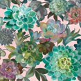 thumbnail image 2 of Floral Succulents v2 Crop on Pink Poster Print by Danhui Nai, 2 of 2