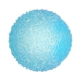 thumbnail image 4 of Textured Stress Ball with Massage-Like Feeling - High-Density Satisfying Fidget for Anxiety and Focus, Perfect for Sensory Stimulation for Canadians, 1PC, 4 of 7