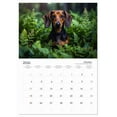 thumbnail image 5 of A Year of Dapper Dachshunds (Monthly Wall Calendar 2026 11.7 x 16.5 (open)), CALVENDO 14 Month Calendar, 5 of 9