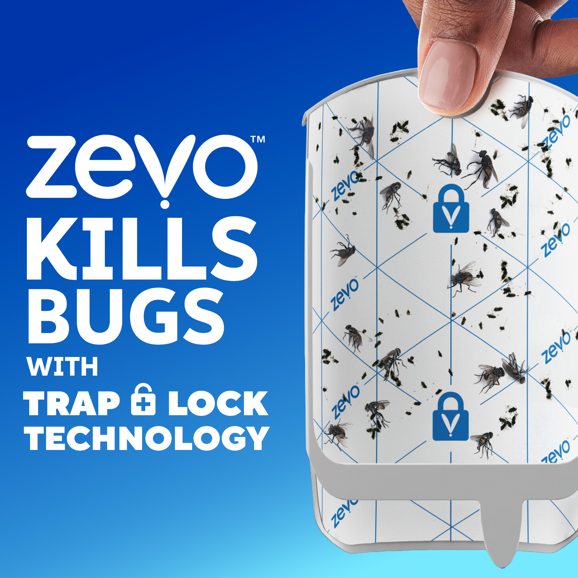 8-Pack Flying Insect Trap Refills – Compatible With ZEVO Indoor Fruit Fly Traps