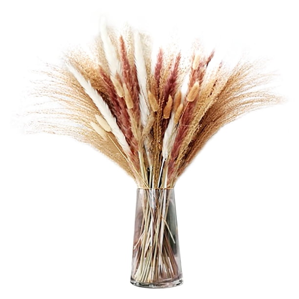 Tall Dried Flowers And Grasses