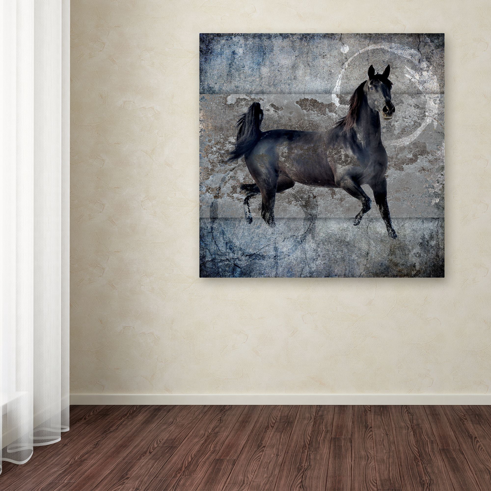 LightBoxJournal 'Black Mare 2' Canvas Art
