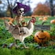 thumbnail image 4 of Fiudx Estaca de Halloween para Jardín, Arte de Hierro Metálico, Diseño Duradero, Temática de Calabaza, Murciélago y Bruja Espeluznante, Decoración de Jardín Al Aire Libre, Resistente a La Intemperie,, 4 of 5
