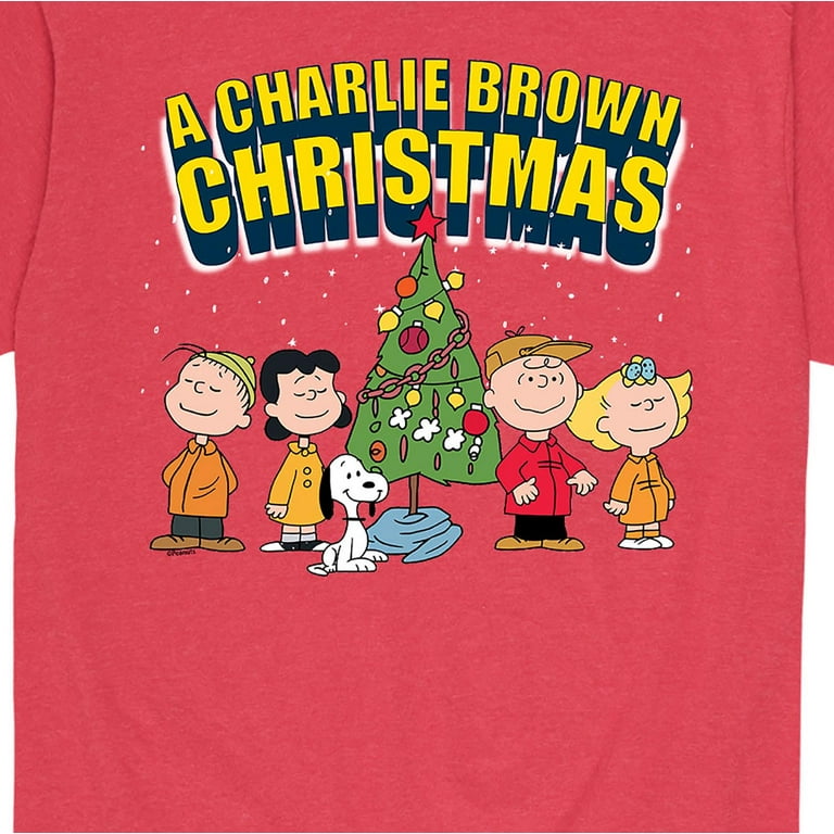 Peanuts Men's Short Sleeve Graphic T-Shirt, A Charlie Brown