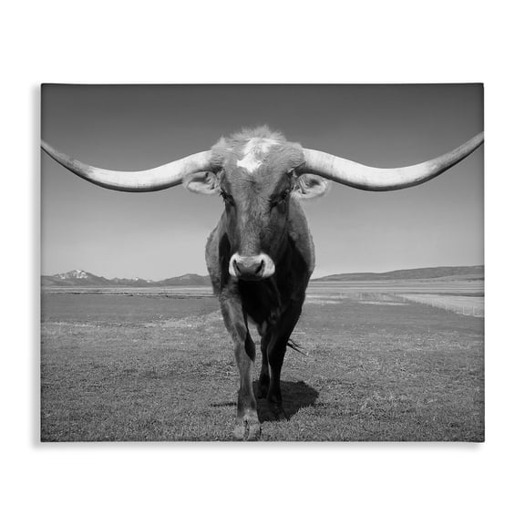 Stupell Industries Rustic Lodge Longhorn in Countryside Canvas Art, 20 x 16, by Steve Toole